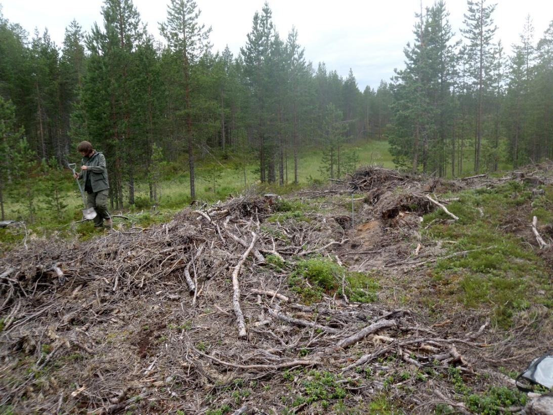 18 Selitys: Selitys: Ympäristön suojelu: Selitys: 0 Ei