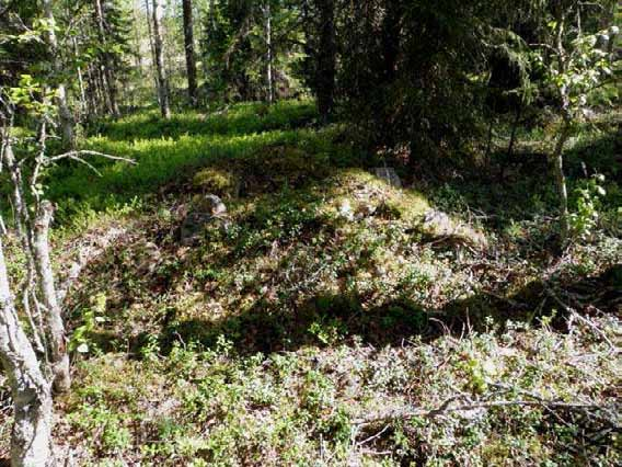 104 Ympäristön 0 Ei määritelty