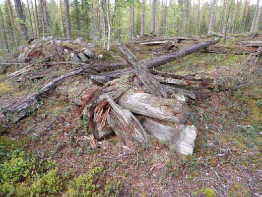 pohjoiskoillisesta.