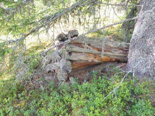 Ympäristön 0 Ei määritelty Rakennuksen 1 jäännös, koillisnurkka