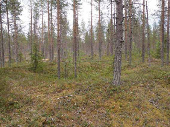 151 Ympäristön 0 Ei