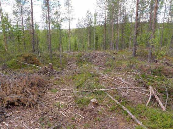 157 Ympäristön 0 Ei
