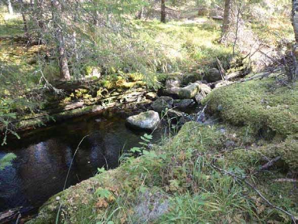 Metsähallitus, metsätalous Hans-Peter Schulz Pudasjärvi pohjoisosa