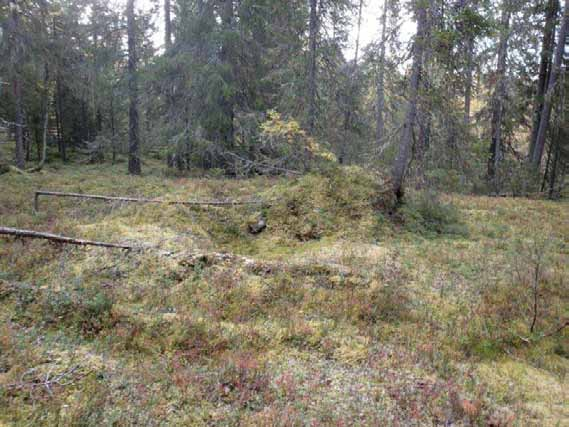 208 Ympäristön 0 Ei