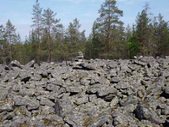 223 Ympäristön 0 Ei