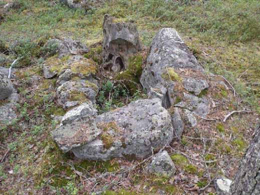 suojeluarvo Ympäristön 0 Ei määritelty