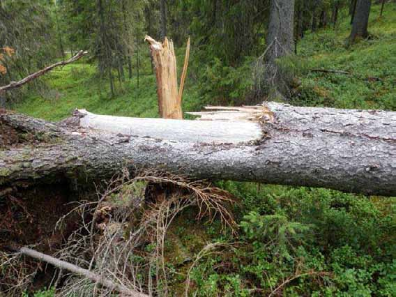 255 Viranomaisrekisterinro: Kunto: Olotila: Arvotus: 0 Ei määritelty Kohteen 3 Huono 2 Ei