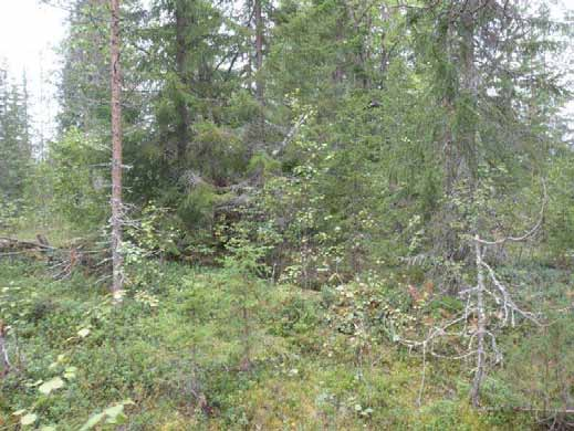 265 Ympäristön 0
