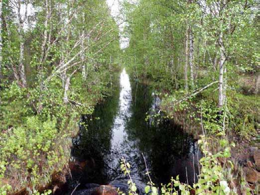 268 Ympäristön 0 Ei