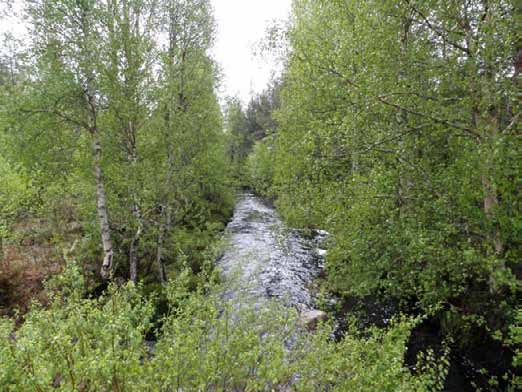 tieltä etelästä.