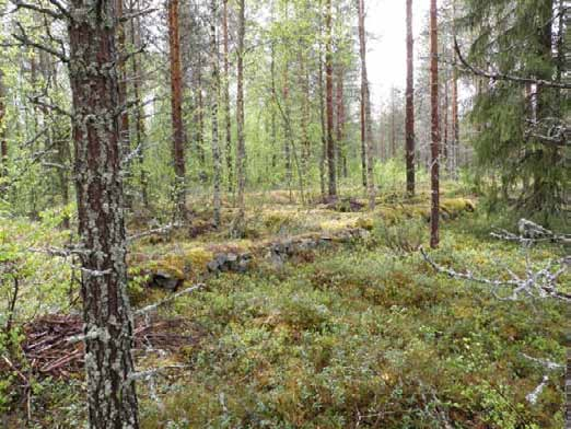 271 Uittokämppä. Lisätietoja Kämppä rakennettiin perimätiedon mukaan 1930-40-luvulla sen jälkeen kun kanava oli kaivettu.