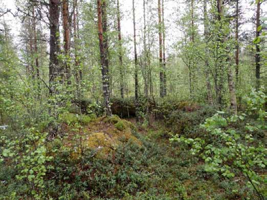 272 Hevostallin