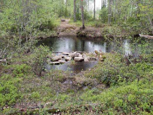 278 Ympäristön 0 Ei