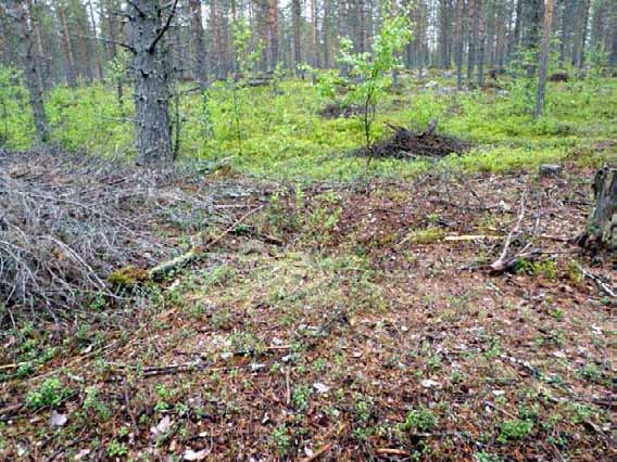 11 Olotila: Arvotus: 3 Esitys mj-luokka II Kohteen 2 Ei käytössä 9