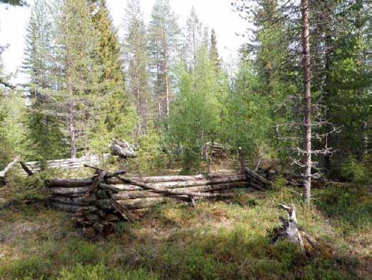 287 Olotila: Arvotus: 8 Muu suojeluarvo