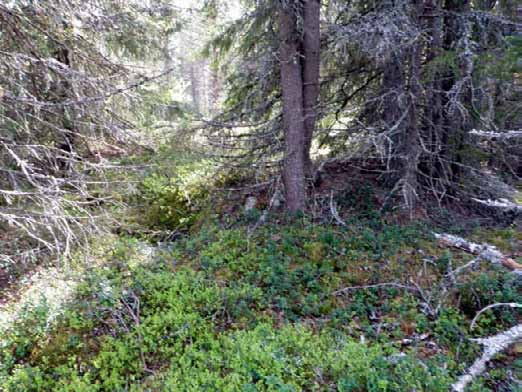 Muu suojeluarvo Ympäristön 0 Ei