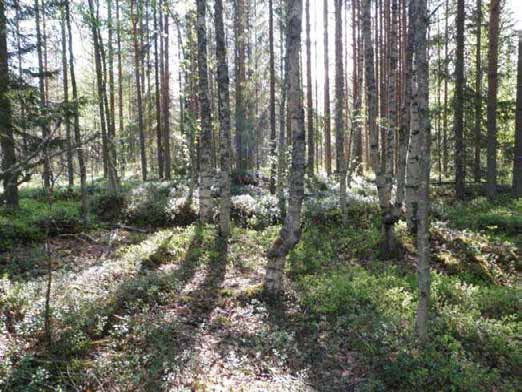 296 Olotila: Arvotus: 8 Muu suojeluarvo Kohteen 2 Ei