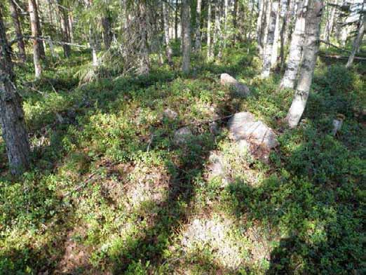 Yleiskuva lännestä, edessä rakennuksen luoteisosa, takana