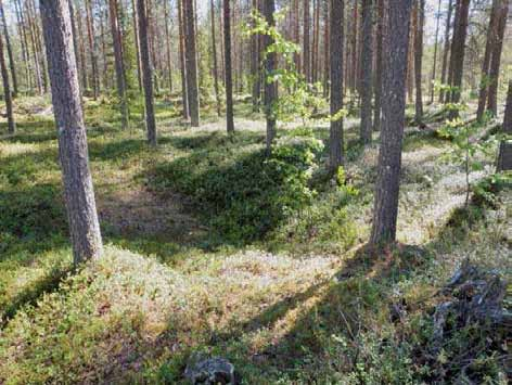 24 Kuvaus: Pudasjärvi kulttuuriperintöinventointi 2010
