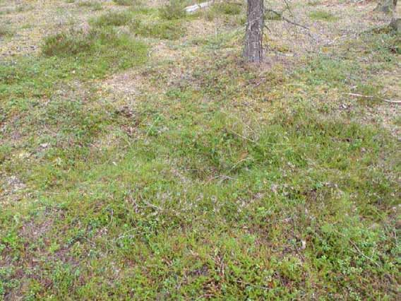 30 Ympäristön 0 Ei