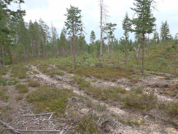 33 On epäselvä, onko painanne samanikäinen kun tulisijat. Jos asuinpaikka on ollut rannansidonnainen, sen ajoitus olisi n.7000 e.kr +/- 500 v.