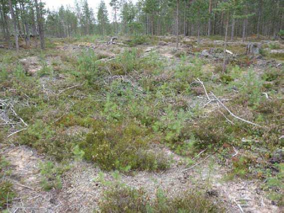 tulisija 1 kaakosta.