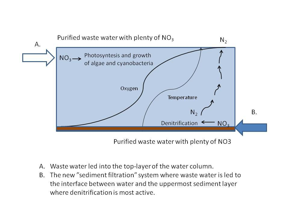 Sedimentin