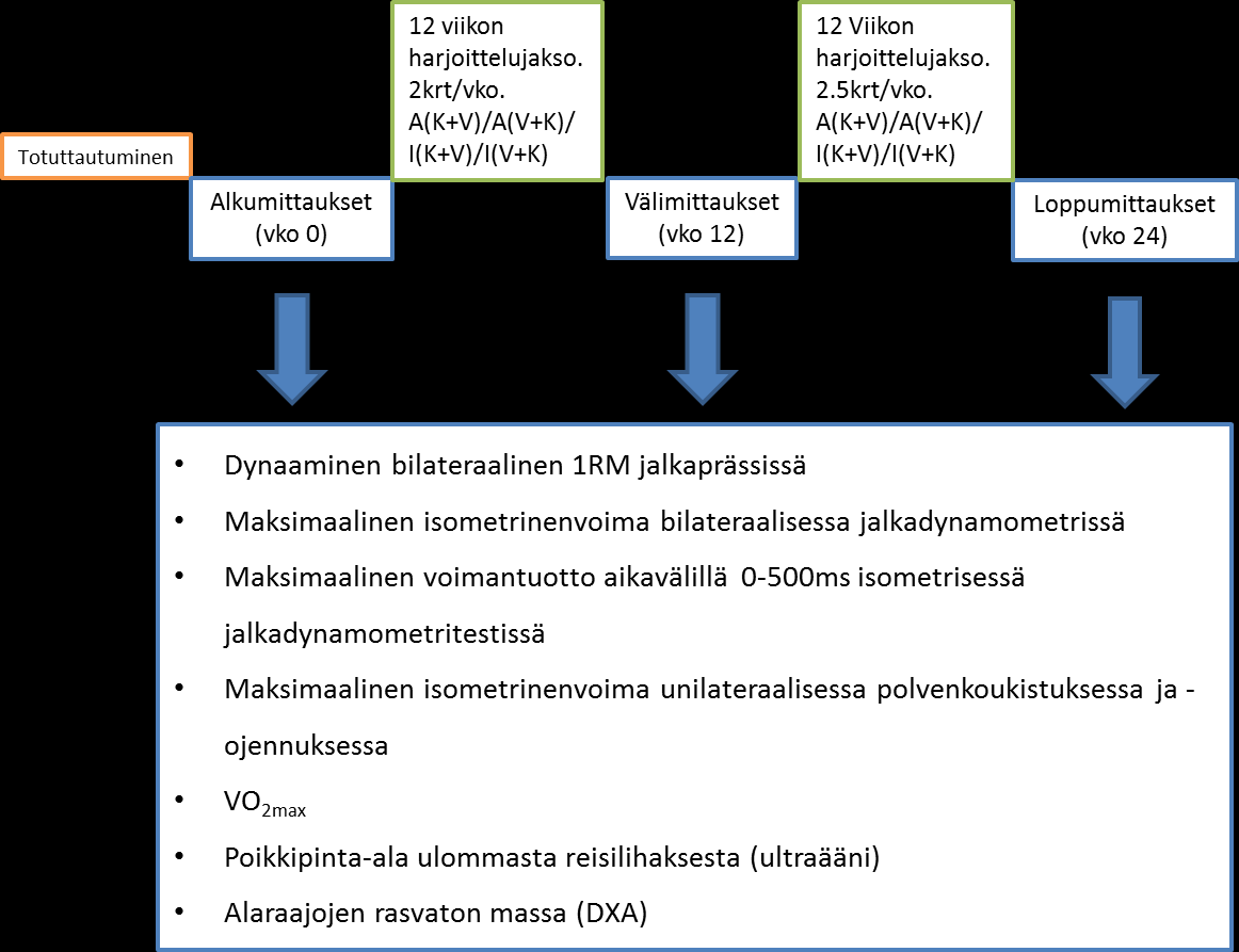 38 KUVA 8. Tutkimuksen kulku. Suorituskykytestit suoritettiin viikoilla 0, 12 ja 24 aamulla 6:00 10:00 ja illalla 16:00 21:00.