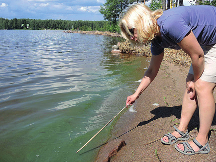 suojakaistat ja vyöhykkeet 13 % Maa- ja metsätalouden eroosiontorjunta 28 % Metsätalouden tehostettu vesiensuojelusuunnittelu 64 % Rehevöityneiden järvien kunnostus ja hoito 11 % Kemiallisen