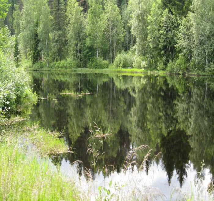 metsäkeskuksen, Asikkalan kunnan, Hämeen ympäristökeskuksen ja