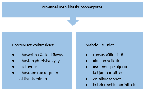 40 Kuvio 3 Toiminnallisen lihaskuntoharjoittelun vaikutukset & mahdollisuudet (Mukaillen Aalto ym.