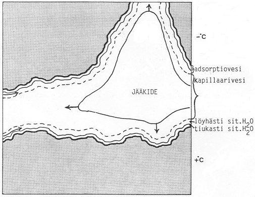 34 Kuva 3.2. Veden jäätyminen hienorakeisessa maa-aineksessa (Nieminen 1985). Kuva 3.3. Veden jäätymisen eteneminen vedellä kyllästetyssä karkearakeisessa maaaineksessa (Arenson & Sego 2006).