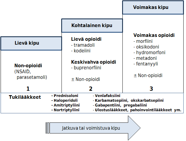 14 Kipu on yleinen oire monissa kuolemaan johtavissa sairauksissa. Kipu on yksilöllistä ja henkilökohtaista, eikä sitä pysty vertaamaan toisen ihmisen kipuun.