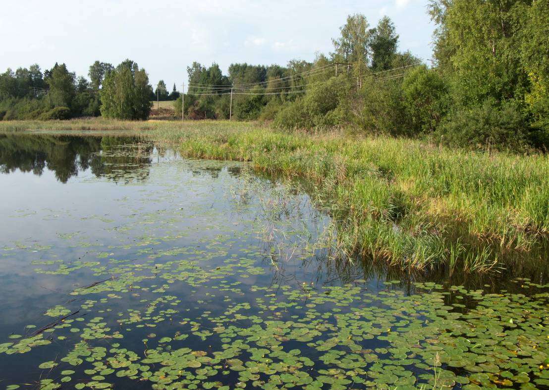 KENKÄVERON PUHDISTAMON JA VETURITALLIN