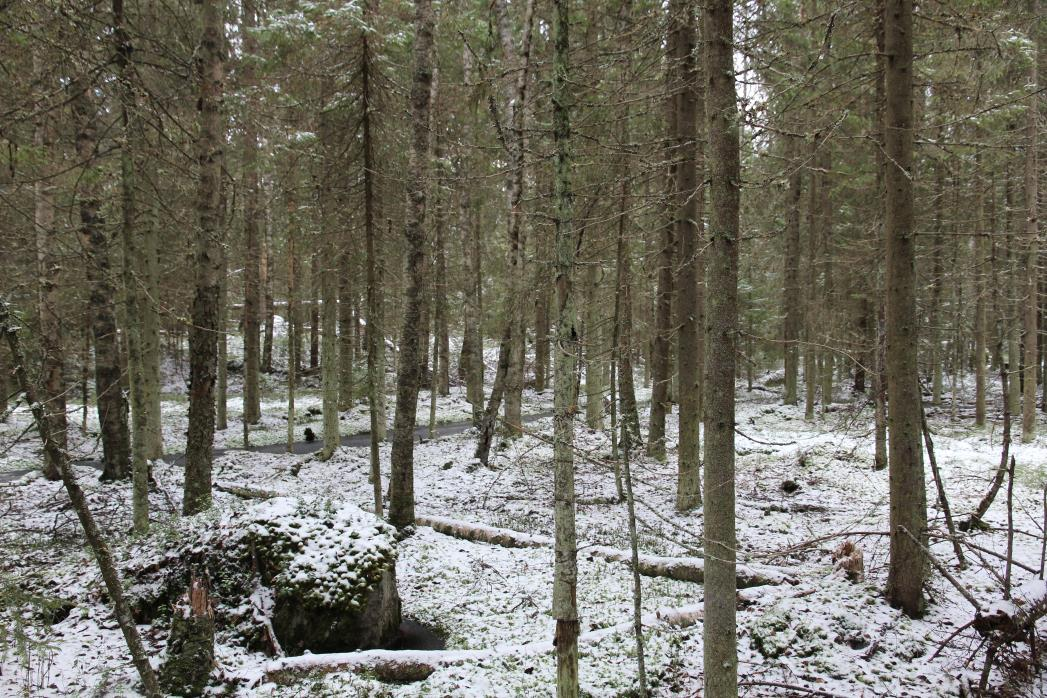 34 Vesiolot Vesi on kaikkien elollisten organismien elämän perusedellytys. Vesi muokkaa maankamaraa ja maalajien vedenläpäisevyys vaikuttaa maalajien rakennusteknisiin ominaisuuksiin.