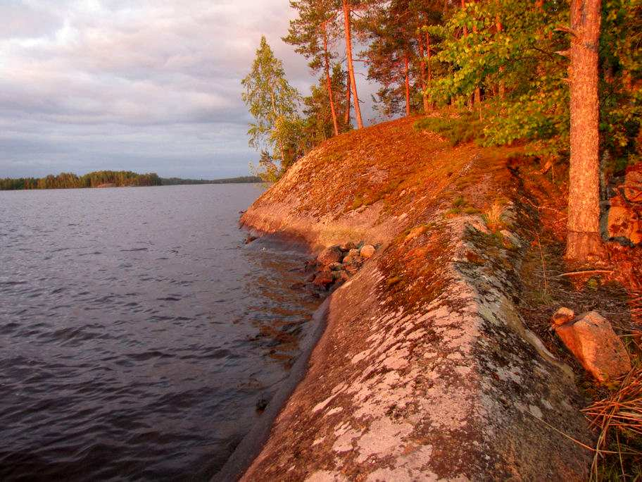 13 Suositus. Niljakanlahdessa ei todettu rauhoitettuja tai uhanalaisia kasvilajeja, uhanalaisia lintulajeja, jotka olisi erityisesti otettava huomioon alueen maankäyttöä suunniteltaessa.