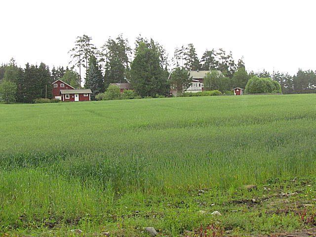 22 kankaiden lajistoksi (OMT, paikoin OMaT). Lähellä rantaa on yhä viljelykäytössä oleva pelto (Kuva 42.). Leveä rantaterassi on muodostunut hieta- ja hiesusedimentistä.