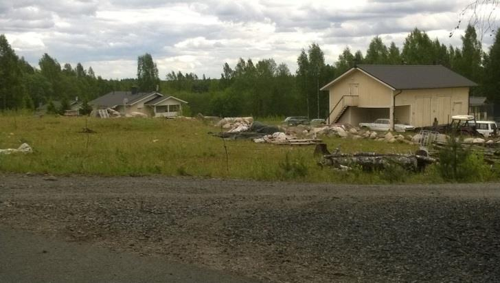 Kuva Koukkujärventien tienhaarasta. Kuva 60. Tattarinmäen länsiosan saniaiskorpea koululle johtavan tien varressa.