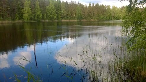 33 Kuva 65. Kangaslampea pohjoisrannalta etelään päin kuvattuna. Kuva 66.