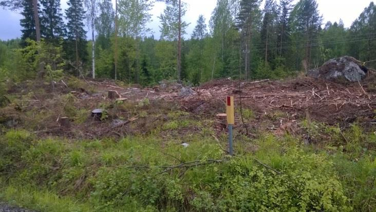 Osa-alueen lintulajisto todettiin tavanomaiseksi nuorien pensaikkojen ja sekametsien lajistoksi (lehtokerttu, pajulintu, peippo, mustarastas, punarinta, punakylkirastas mm.).