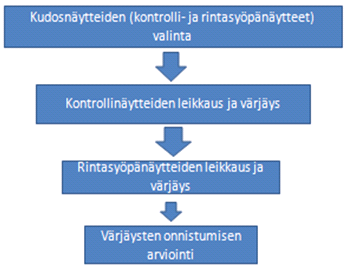 6 TUTKIMUKSEN TOTEUTTAMINEN Ennen laboratoriotöiden aloittamista tutkimusryhmä valitsi immunohistokemiallisissa värjäyksissämme käytettävät kudosnäytteet (kuvio 4), joista leikattiin sekä kontrolli-