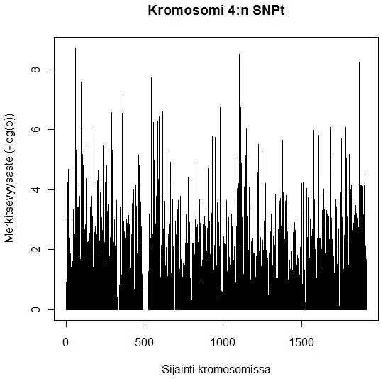 Kuva 6. Kromosomi 4:n p-arvokuvaaja. Taulukossa 5 on logistisen regressioanalyysin perusteella 15 merkitsevintä SNP-markkeria.