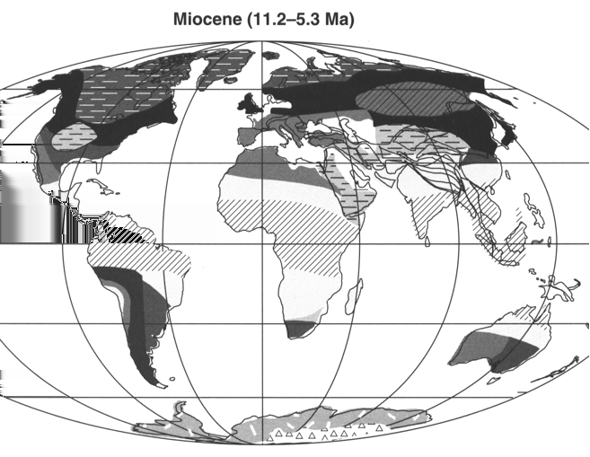 C 4 fylogenia 350 Review Tansley review Mioseenin kasvillisuus Fig. 5 Distribution of C 4 photosynthesis in the taxonomic orders of the angiosperms.