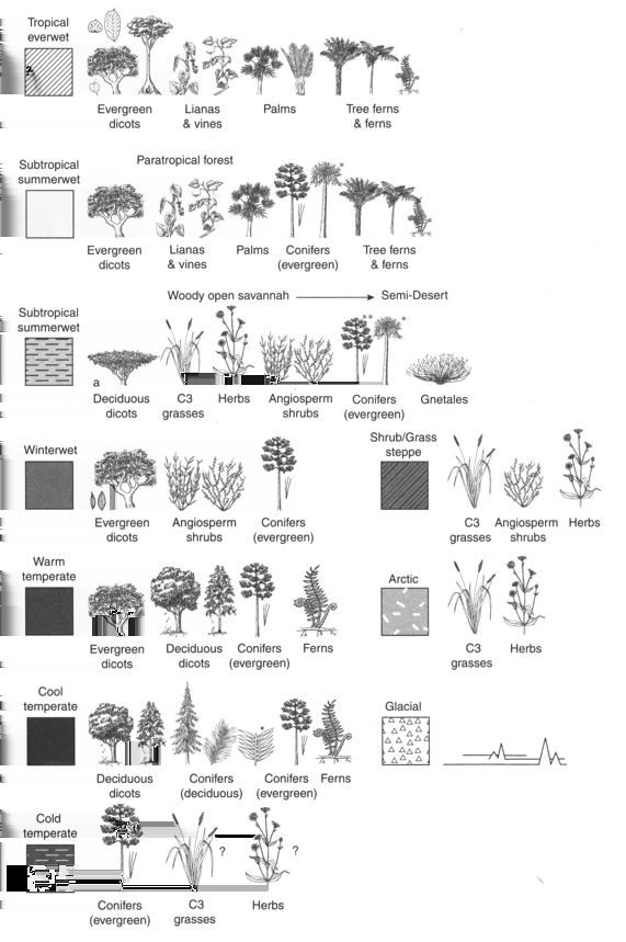 Numbers in parentheses refer to estimates 2016of 39 / 40 genera/species numbers or, where relevant, just species numbers. Adapted from Stevens (2003) by permission.