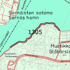 Mustikkamaan geologisesti arvokas kohde (Lähde: Luontotietojärjestelmä / Ympäristökeskus) Mustikkamaan länsireunan silokallio (kuvassa) on määritelty geologisesti arvokkaaksi kohteeksi.