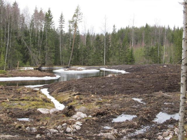 Tammelan järvien ja