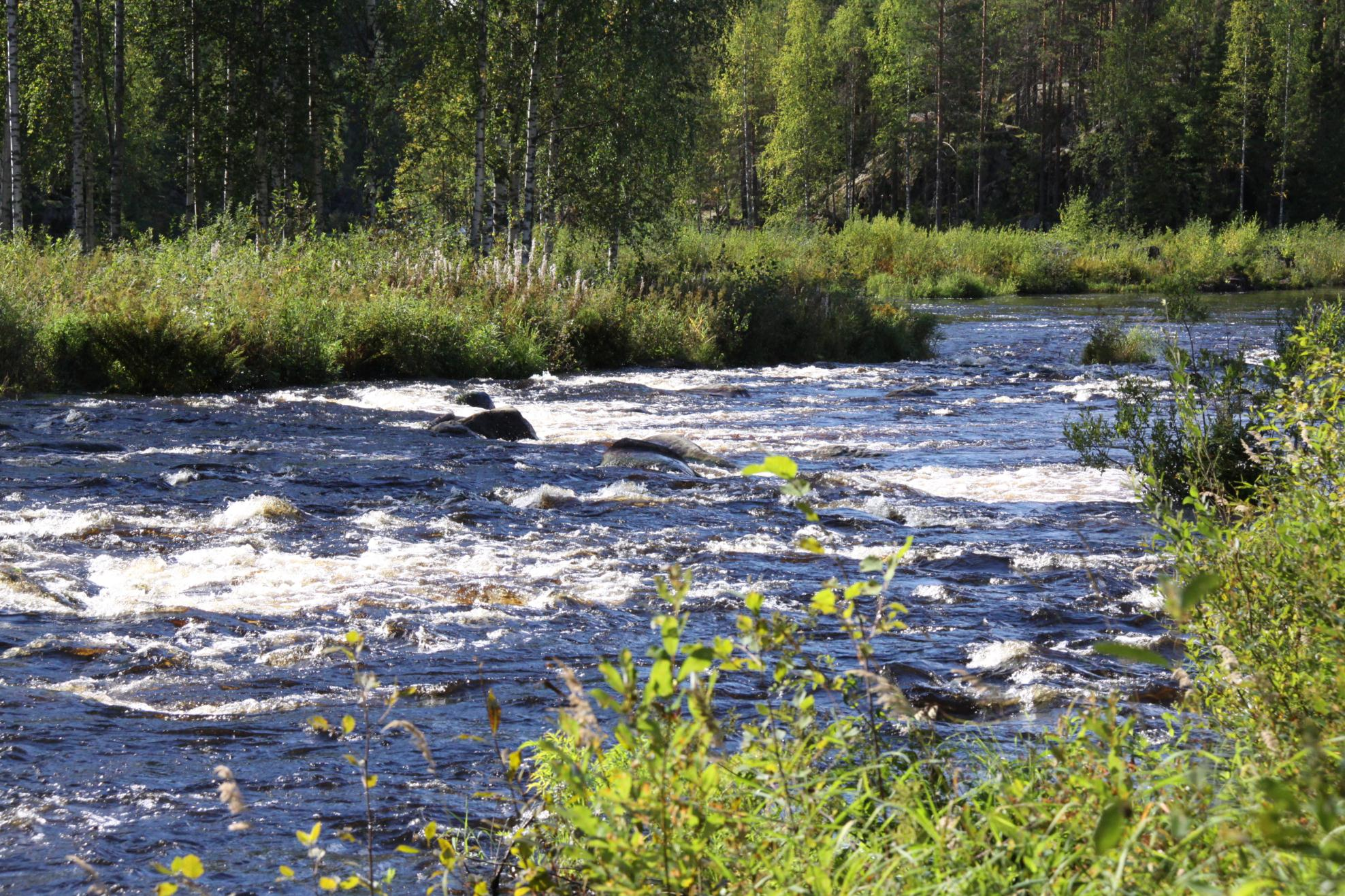 KIITOS!