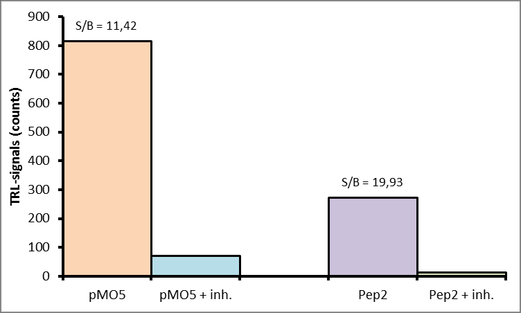 43 Kuvio 3 Peptidisubstraatin valinta Edelleen nähdään, että Pep2-peptidi tuottaa korkeamman signaalin ja taustan suhteen reaktiossa mutta signaalit ovat hyvin pienet (kuvio 3).