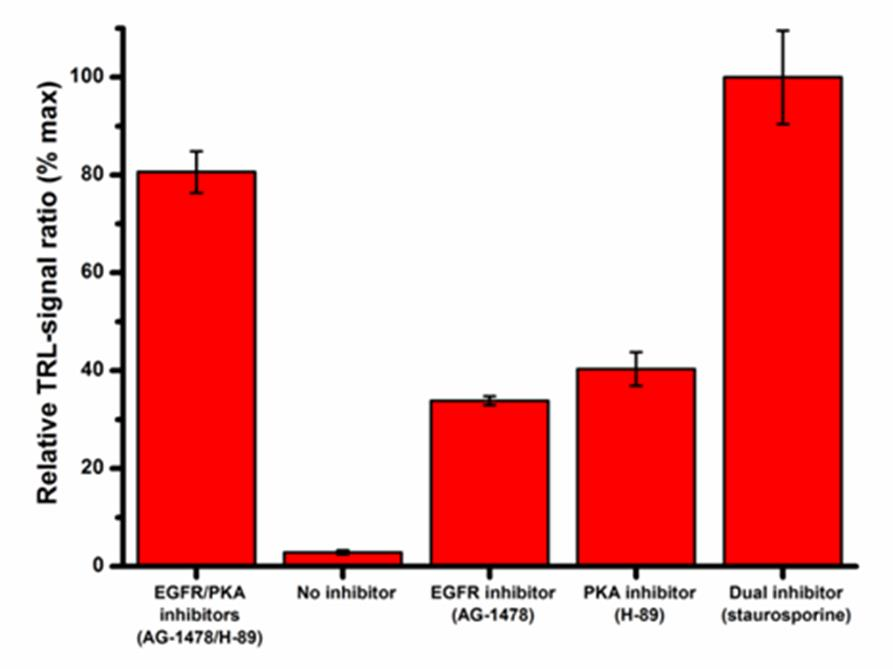 46 tilanne, jossa oli universaalia inhibiittoria sekä tilanne, jossa inhibiittoria ei ollut laisinkaan. Kuvio 6 EGFR/PKA -kuvaaja Kuvaajasta nähdään saatujen signaaleiden suhde toisiinsa nähden.