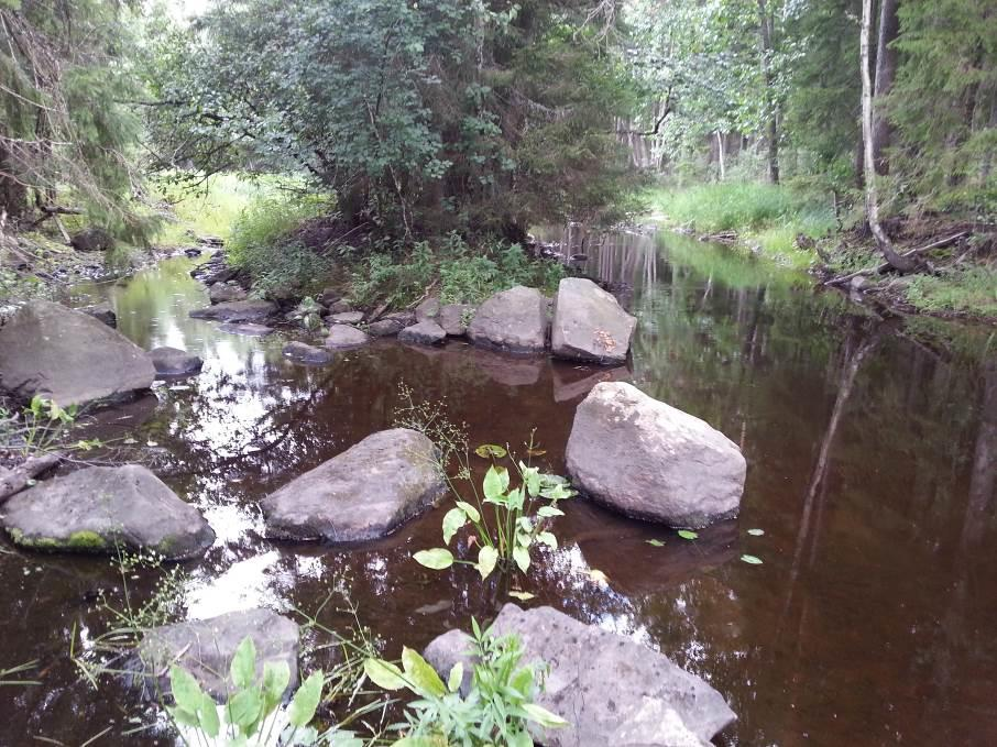 55 nostuksessa. Alueella on luonnostaan soraikko, jota voisi kunnostuksessa suurentaa. Ala on kunnostuskohteena poikas- ja lisääntymisalue.